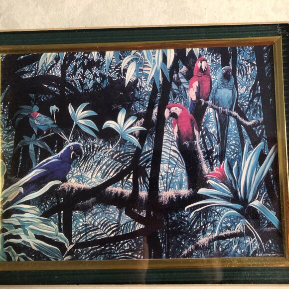 Vintage print jungle parrot with frame small wall decor - Picture 6 of 7
